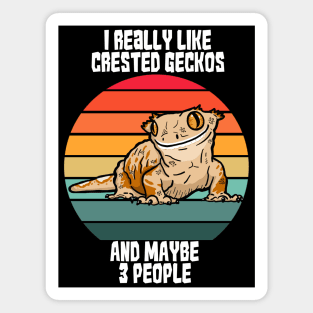 I Really Like Crested Geckos...and Maybe 3 People Magnet